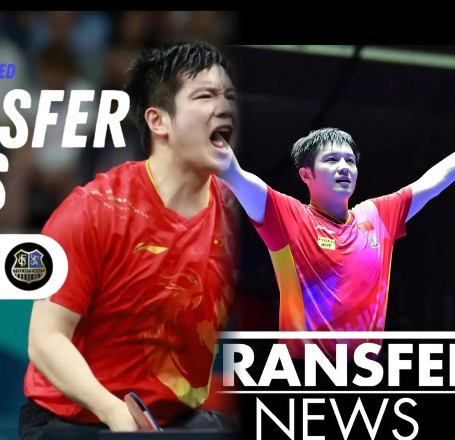 官网-波兰乒乓球队鏖战奥地利乒乓球队,樊振东完成帽子戏法的简单介绍