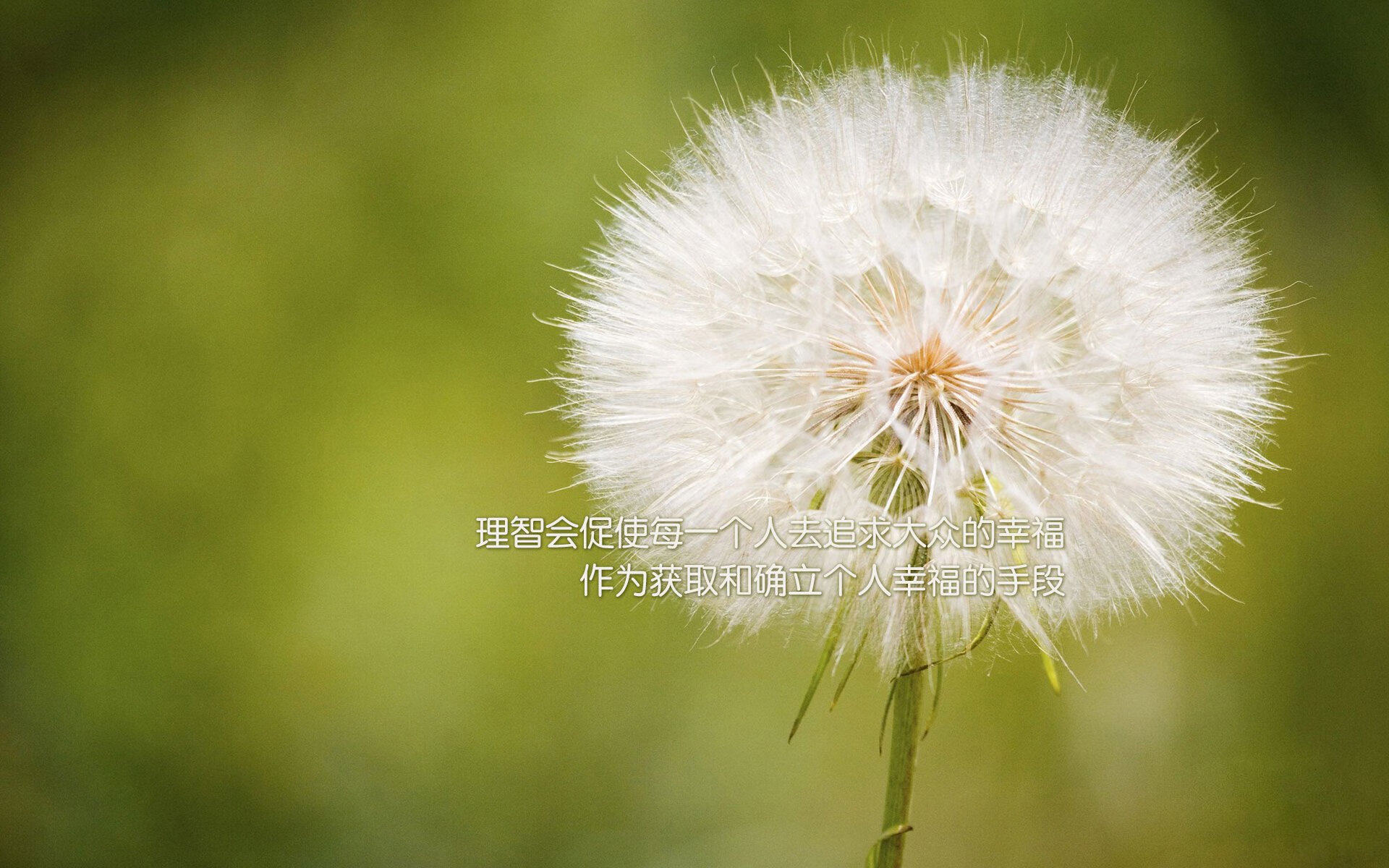 霍勒迪单骑破阵铁骑溃！浙江七人上双主场狂胜鹈鹕