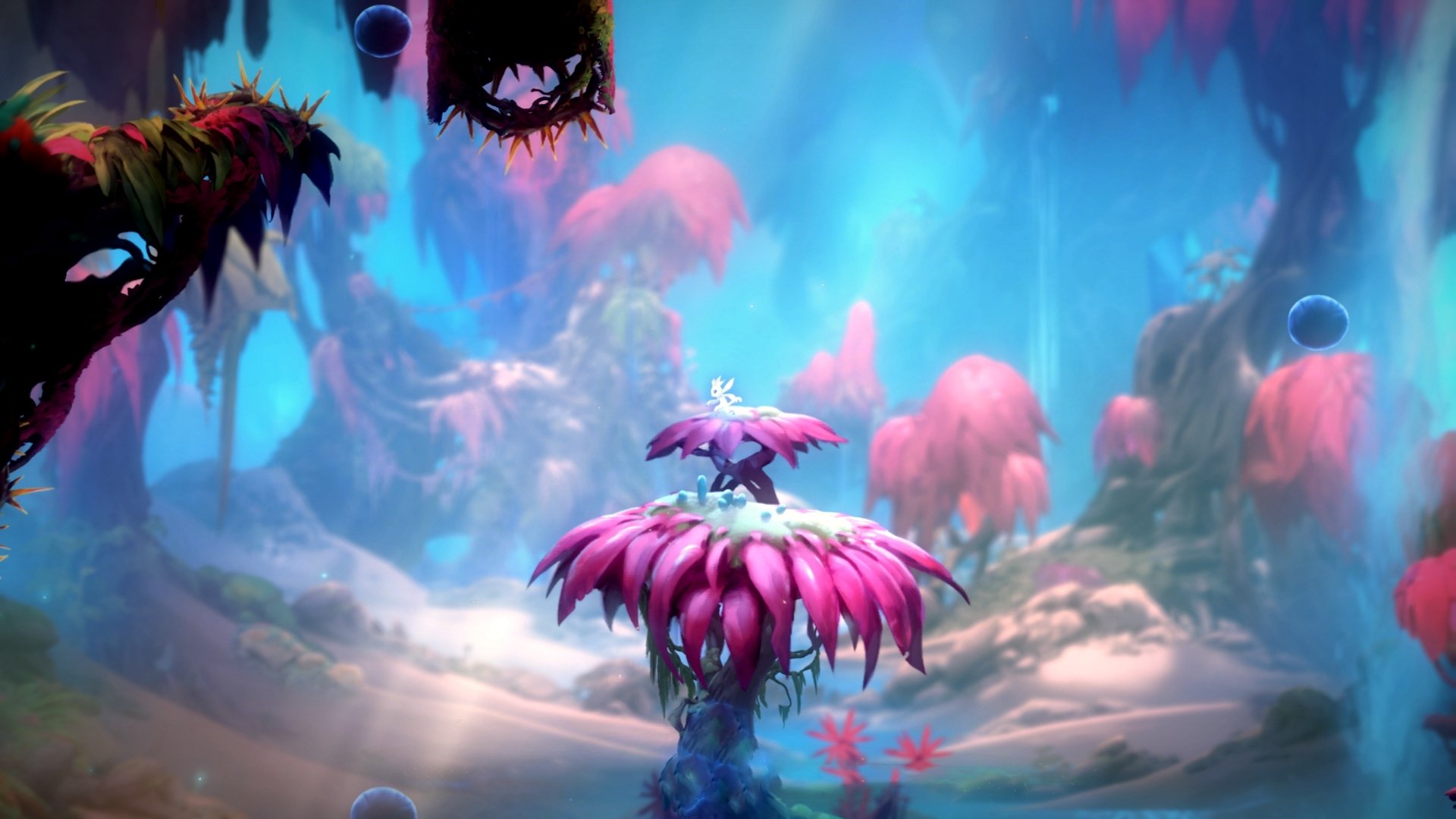 灰色闪电，从替补席到英雄，奥利维耶一球改变南美足球叙事