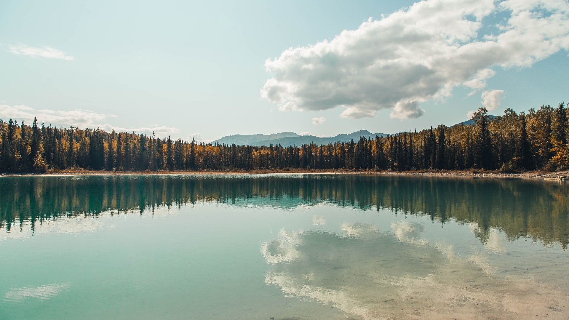 开云下载-时空裂缝中的血战，奇才太阳双星陨落，詹姆斯跨时代压制法则