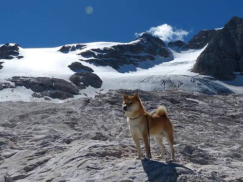 开云体育-一箭穿云！罗德里戈单骑破阵，沙特铁蹄踏碎莱比锡—亚洲新势力的欧冠宣言