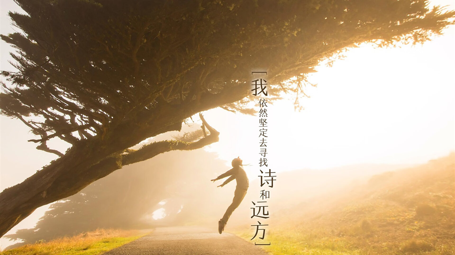 圣安东尼奥的冰与火之歌，记2015年马刺快船史诗抢七