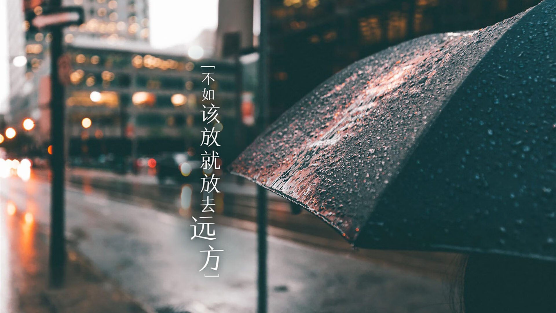 那一夜,里斯本的光与蒙特利尔的雪交融—记2026世界杯F组葡萄牙力克加拿大,托纳利的致命一击封存唯一瞬间