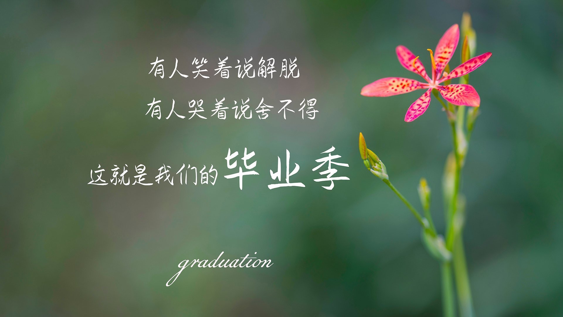 开云体育登录-沙漠中的奇迹逆转，卡塔尔绝杀波兰，孙兴慜用灵魂撕裂2026世界杯A组